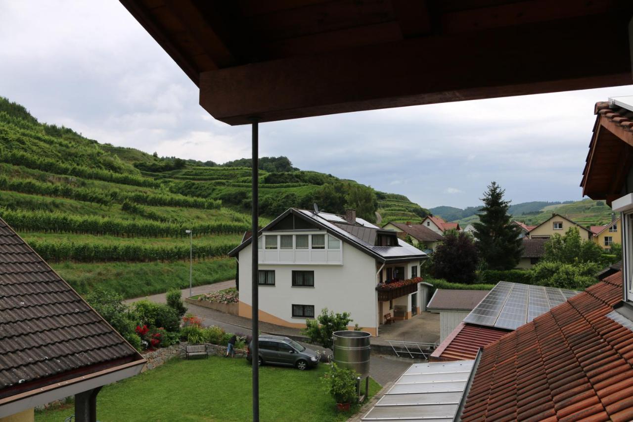 Ferienwohnung Weingut&Straußwirtschaft Vogel Vogtsburg Exterior foto