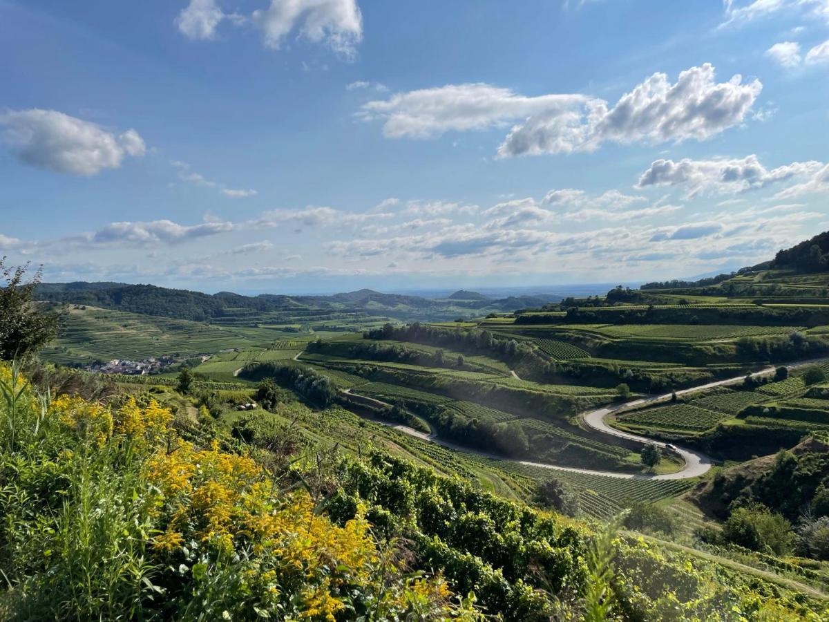 Ferienwohnung Weingut&Straußwirtschaft Vogel Vogtsburg Exterior foto